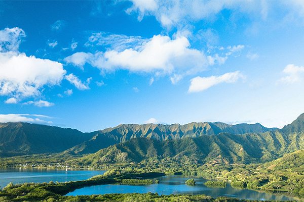 世通能碳管理平台：AI赋能的智能化能碳管理新体验