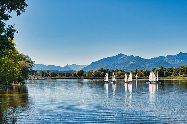 碳资产管理模块：把碳排放变成企业的战略性资产